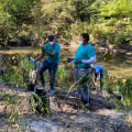 Exploring Volunteer Opportunities with Environmental Groups in Bronx, NY