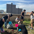 Environmental Issues in Bronx, NY: A Focus on the Work of Environmental Groups