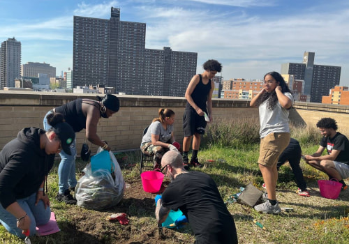 Get Involved with Environmental Groups in Bronx, NY