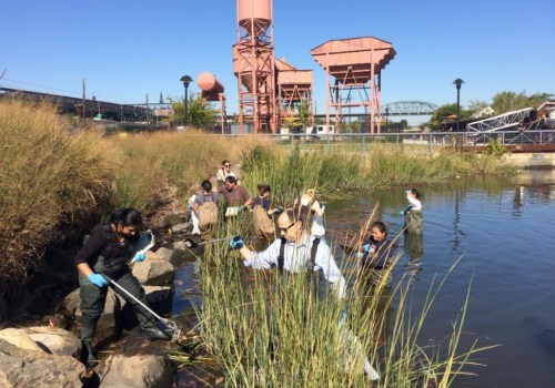Engaging the Bronx Community: How Environmental Groups in Bronx, NY Make a Difference