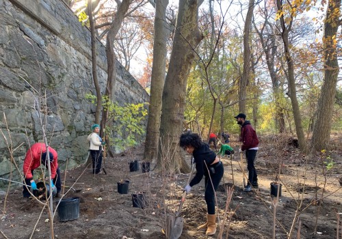 Exploring Environmental Groups in Bronx, NY