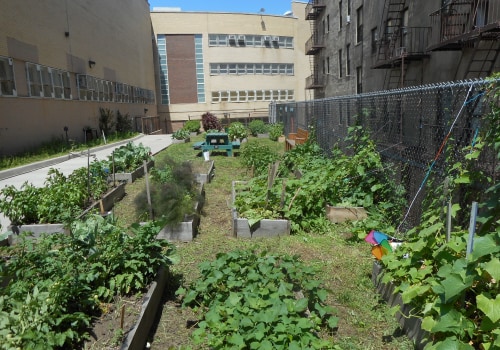 Exploring the Partnerships between Environmental Groups and Schools in Bronx, NY